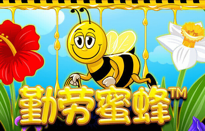华体汇app官方